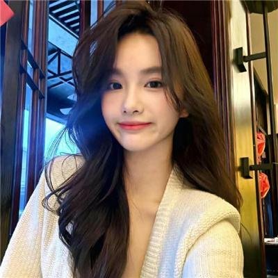 杨成武强攻东团堡